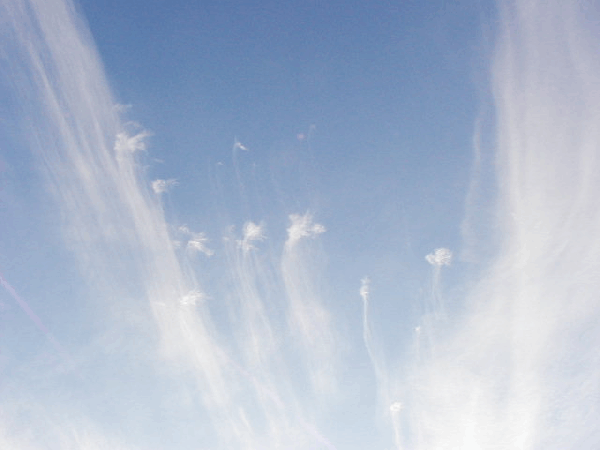 高高度に出来る。雲の厚さは薄くたいてい透けて見える。
飛行機雲が出来る高度でもある。