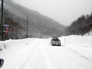 ��芸�������ƂȂ����t��